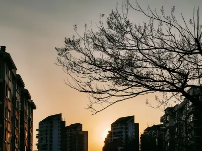 MegaReel Casino Mobil App